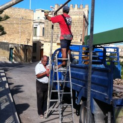 Batting Cage on Car Free Day