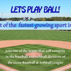 THE GOZO BASEBALL & SOFTBALL LEAGUE