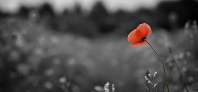 THE REDCOATS REMEMBER