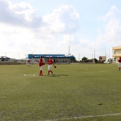 PITCHER DEVELOPMENT – A LENGTHY PROCESS