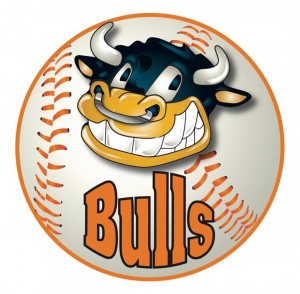 Bulls